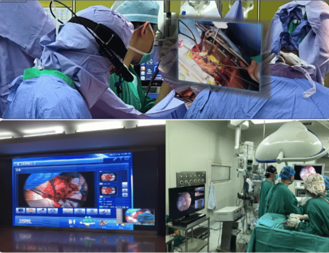 의학 교육 및 가이드